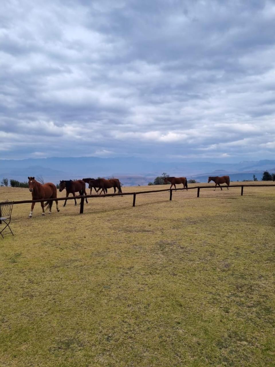 Drakensberg Mountain Retreat Country house Bergville